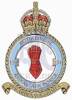 134 Squadron RAF Badge.