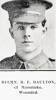 RFLMN. R. F. DAULTON # 18630  , of Manutuke, was reported wounded in May 1917