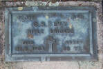 1st NZEF, 72059 Rfm G S ELVY, Rifle Brigade, died 21 June 1963 aged 68 years. He is buried in the Taruheru Cemetery, Gisborne Block RSA Plot 148