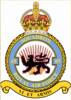 65 Squadron RAF Badge.