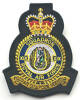19 Squadron RAF Badge.