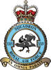 24 Squadron RAF Badge.