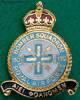 150 Squadron RAF Badge.