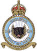 258 Squadron RAF Badge.