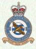 245 Squadron RAF Badge.
