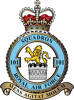 101 Squadron RAF Badge