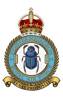 64 Squadron RAF Badge
.