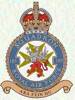 185 Squadron RAF Badge.
