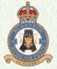 RAF 190 Squadron Emblem.