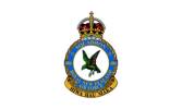 486 Squadron RAF Badge.