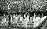 The lovely area set aside for the war dead in Whtyeleafe (St Luke) Churchyard, Surrey.