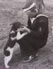 Petting a dog in 1941