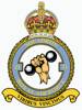 21 Squadron RAF Badge.