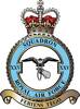 25 Squadron RAF Badge.