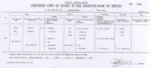 Certified Copy of Entry in the Register Book of Births