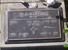 2nd NZEF, 46035 W.O.1 E G COPPIN, M.I.D., 25 Btn, died 3 June 1992 aged 79 years He is buried in the Taruheru Cemetery, Gisborne Block RSA34 Plot 390