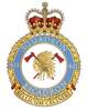 421 Royal Canadian Air Force (RCAF) Badge.