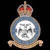 165 Squadron RAF Badge.
