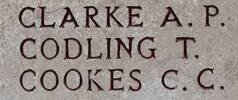 Thomas Codling's name is on Chunuk Bair New Zealand Memorial to the Missing, Gallipoli, Turkey.