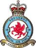 18 Squadron RAF Badge.