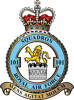 101 Squadron RAF Badge.