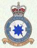 233 Squadron RAF Badge