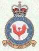 209 Squadron RAF Badge.