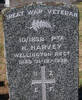 NZEF, Great War Veteran 10/1838 Pte H HARVEY, Wellington Regt, died 31 December 1939 aged 60.  He is buried in the Taruheru Cemetery, Gisborne Blk S Plot 118