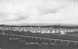 Awapuni Camp 1914 by RN MacDonell
