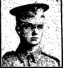 Newspaper Image from the Auckland Star of 11th November 1916