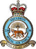 230 Squadron RAF Badge.