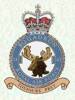 RAF 242 Squadron Badge.