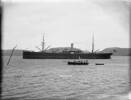 Harry left Wellington NZ 31 March 1900 aboard SS Waimate bound for South, Africa.