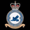 142 Squadron RAF Badge.