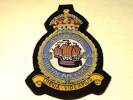 269 Squadron RAF Badge.