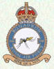 540 Squadron RAF Badge.