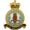 58 Squadron RAF Badge.
