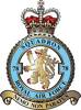 78 Squadron RAF Badge.