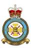 111 Squadron RAF Badge