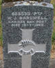 NZMF, 623533 Pte W J BARDWELL, Hawkes Bay Regt, died 12 July 1943 aged 19.
He is buried in the Taruheru Cemetery, Gisborne
Blk 13/SLDRS Plot 7