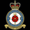 611 Squadron RAF Badge.