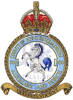 500 Squadron RAF Badge.