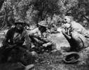 New Zealand soldiers relax under the shade of some olive trees on Crete, May 1941. Left to right: Bill Spence, unknown soldier, Billy Moran.