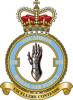 
17 Squadron RAF Badge.