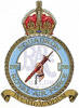 295 Squadron RAF Badge.