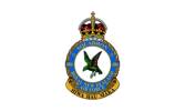 485 Squadron RNZAF Badge.