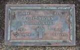 Pte # 47851 G L BROWN WELLINGTON REGT Died 9-3-1997 aged 77yrs He is buried in the Waihi Cemetery, Waihi PLOT: RSA Plot 227