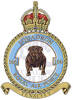 166 Squadron RAF Badge.