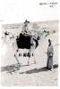 Sir John on Camel - Egypt 1941