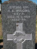 NZEF, 2/2306 Gnr H E WIGGINS, NZFA, died 18 March 1937 aged 49. Beloved husband of Margaret Wiggins. He is buried in the Taruheru Cemetery, Gisborne Blk S Plot 92